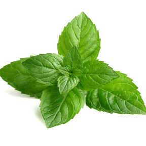 Naturalny Olejek Eteryczny z Mięty Pieprzowej