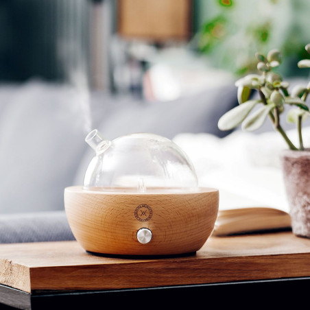 Dyfuzor szklany do olejków eterycznych SZKLANA KULA Jasny Buk