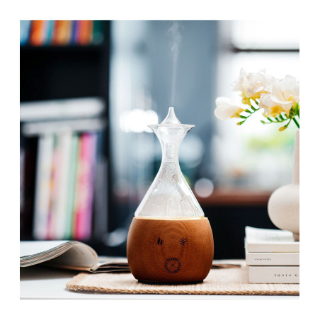 Lampa Alladyna – szklany dyfuzor zapachowy bezwodny | ViaAroma