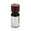 Naturalny Olejek Eteryczny z Wintergreen